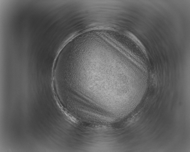 X0000076071002200610061557