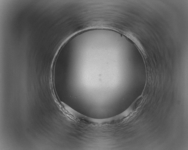 X0000076071004200610061557