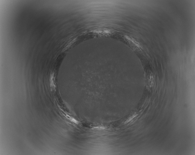 X0000076071010200610061556