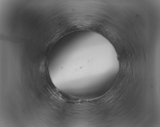 X0000076071012200610061556