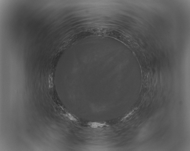 X0000076071013200610061556