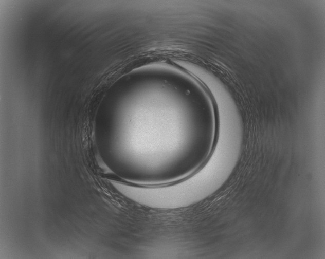 X0000076071014200610061556