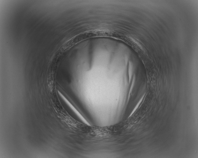 X0000076071015200610061556