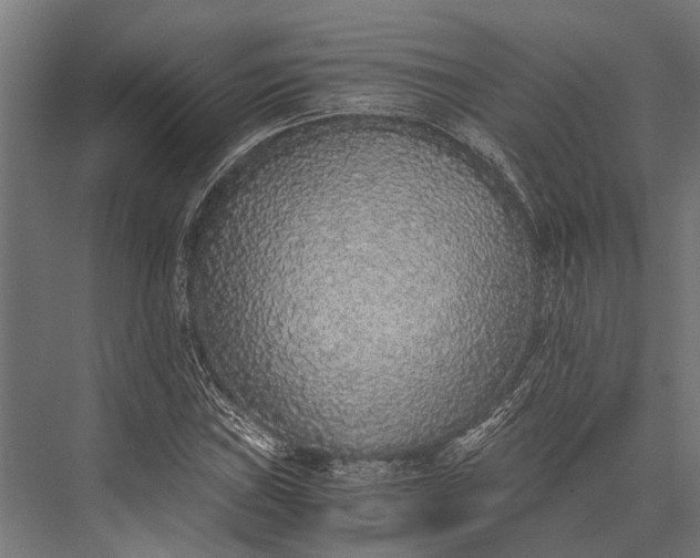 X0000076071019200610061556