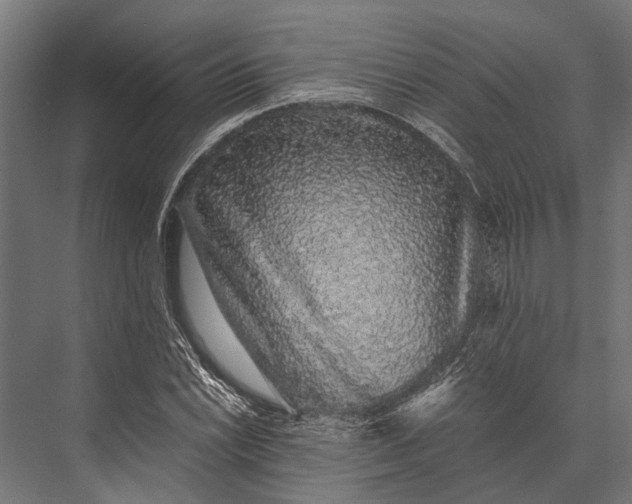 X0000076071022200610061556