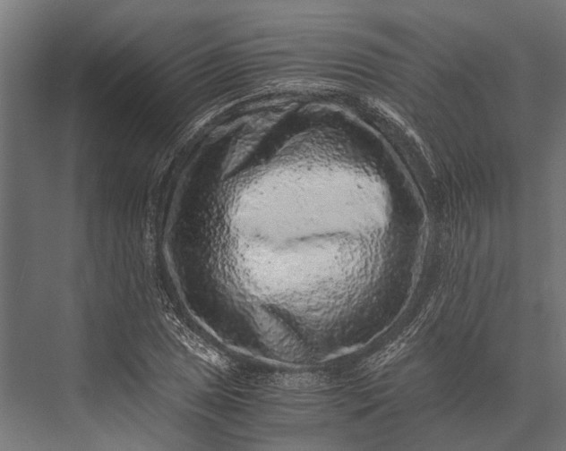 X0000076071025200610061556