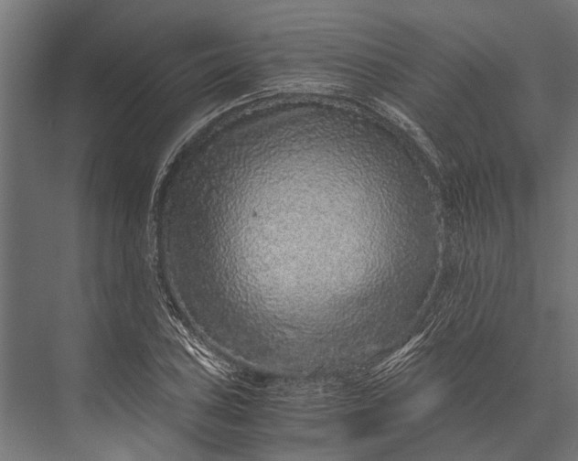 X0000076071027200610061556
