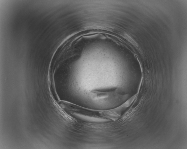 X0000076071028200610061556