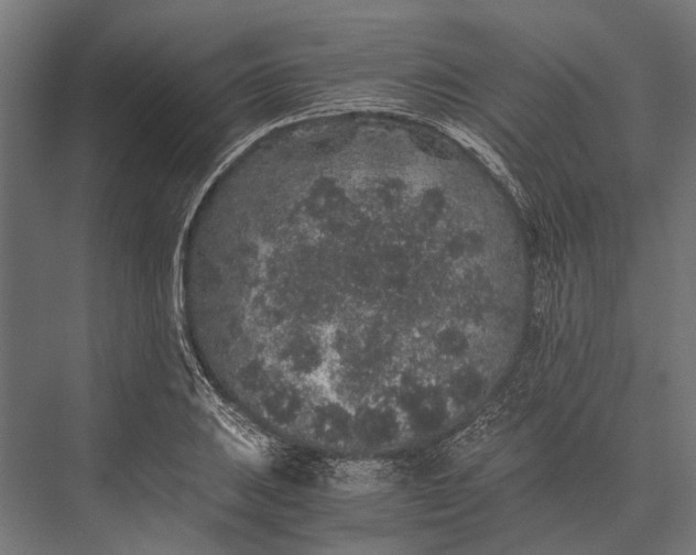 X0000076071031200610061557