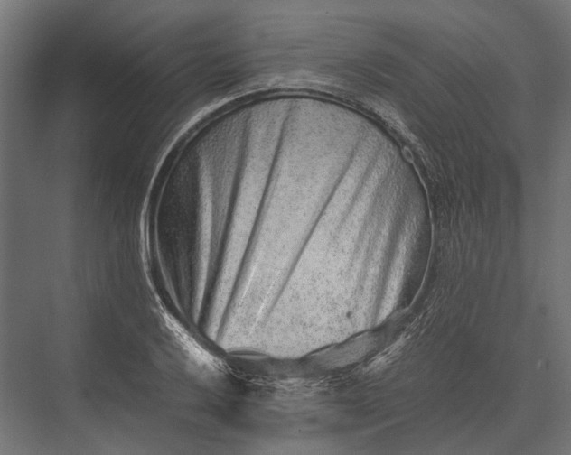 X0000076071032200610061557