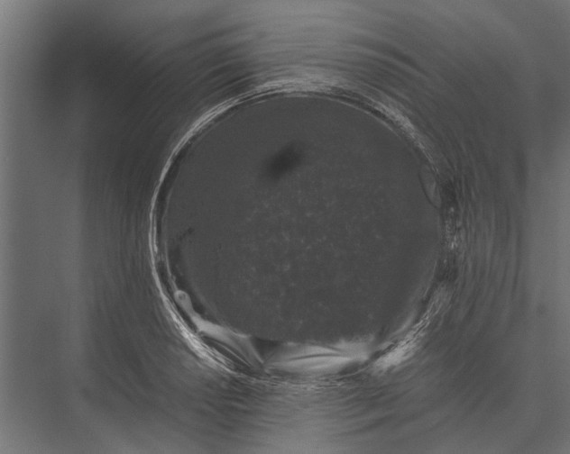 X0000076071034200610061557