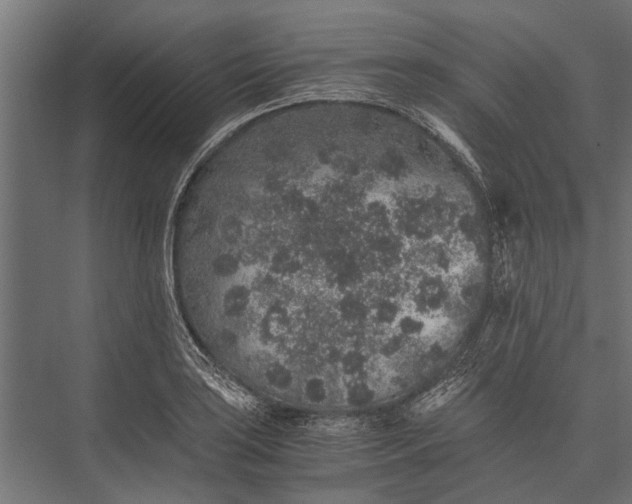 X0000076071035200610061557