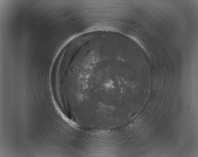 X0000076071038200610061557