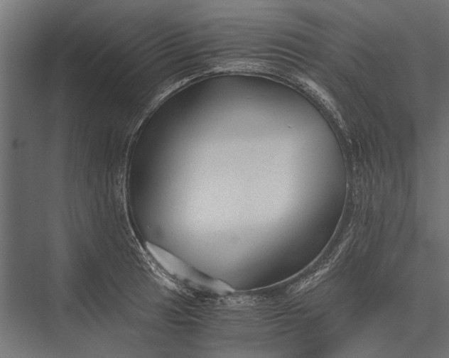 X0000076071041200610061557