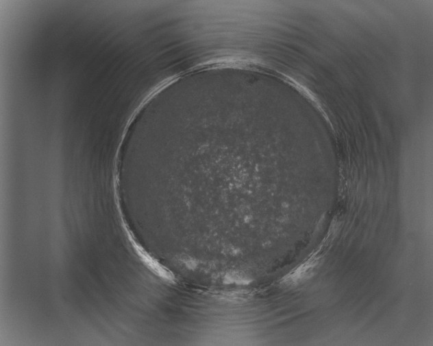 X0000076071042200610061557