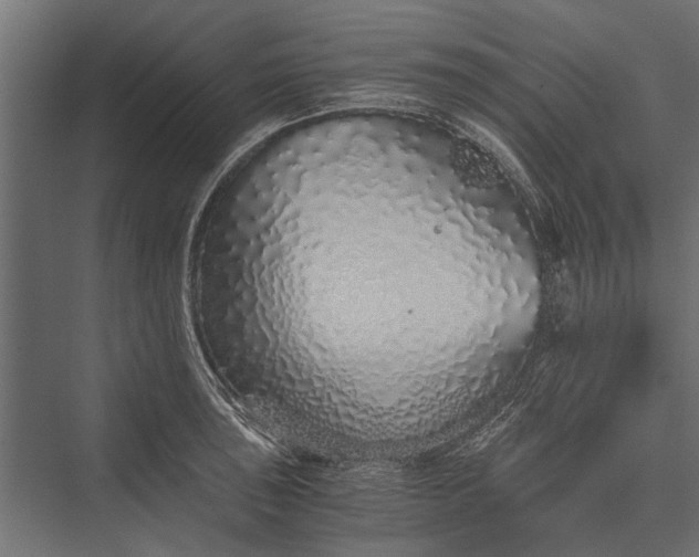 X0000076071043200610061557