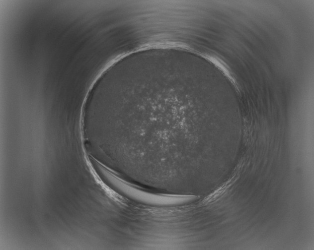 X0000076071046200610061557