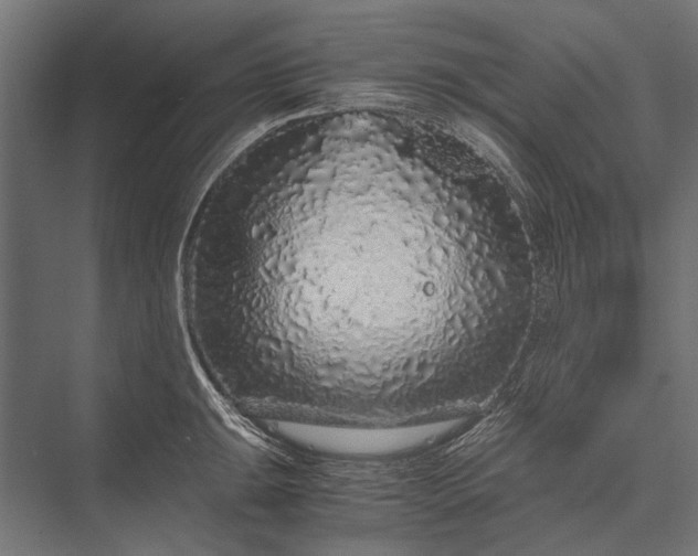 X0000076071047200610061557