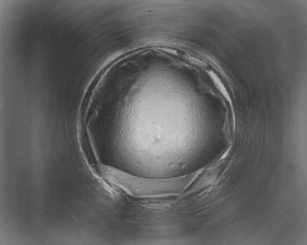 X0000076071048200610061557