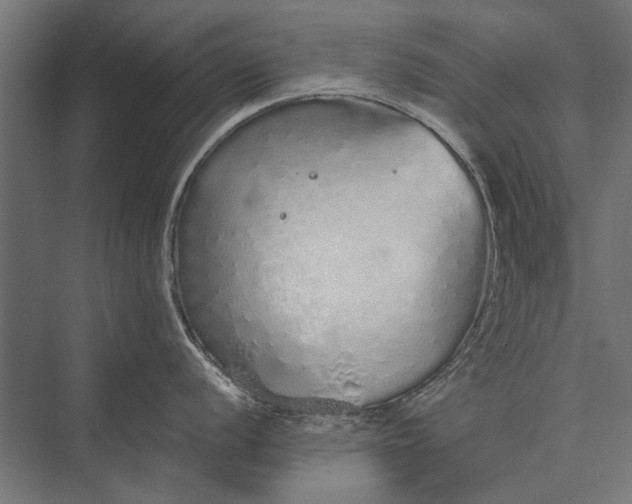 X0000076071056200610061557