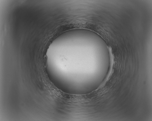 X0000076071057200610061556