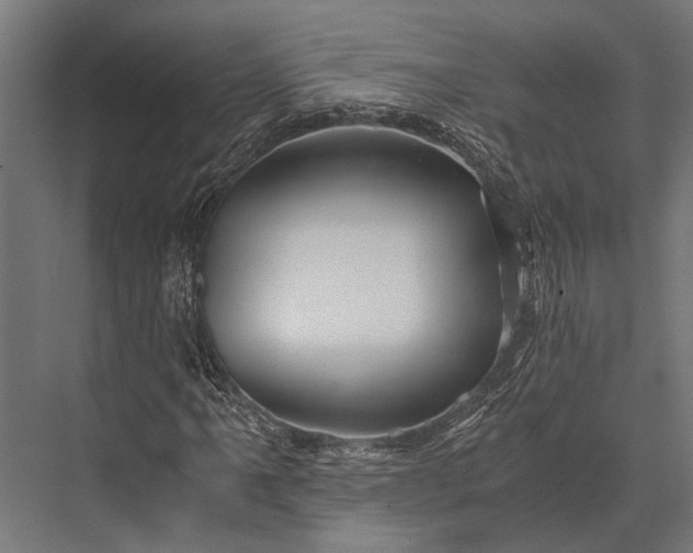 X0000076071061200610061556