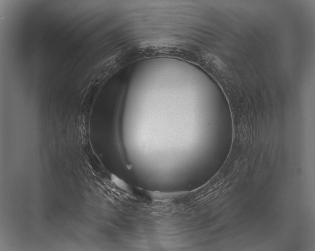 X0000076071062200610061556