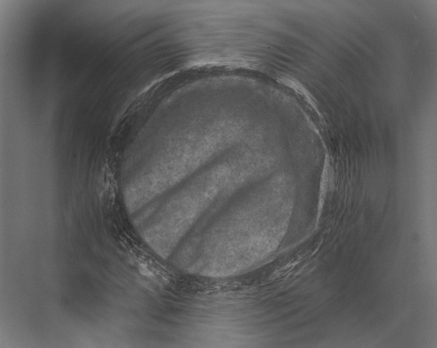 X0000076071064200610061556