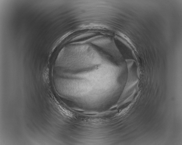 X0000076071066200610061556