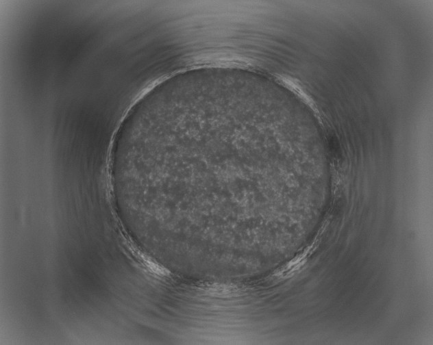 X0000076071071200610061556