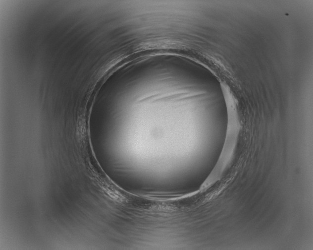 X0000076071073200610061556