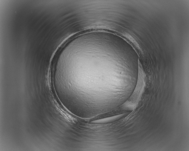 X0000076071076200610061556