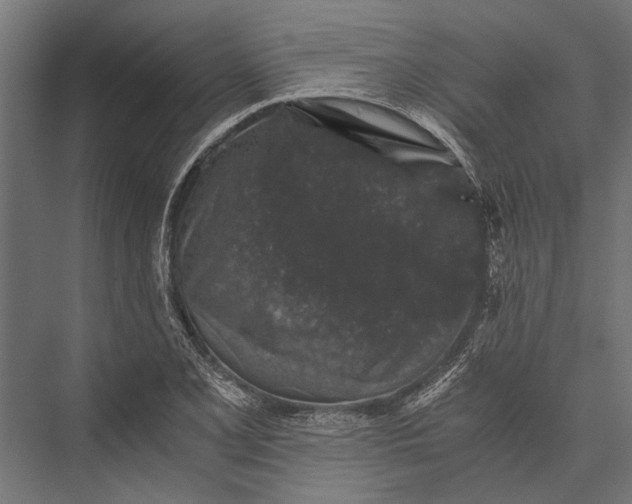 X0000076071077200610061556