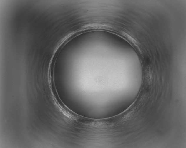 X0000076071082200610061556