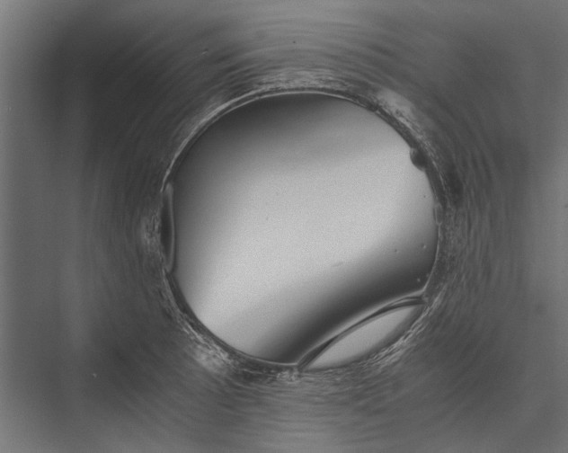 X0000076071089200610061556