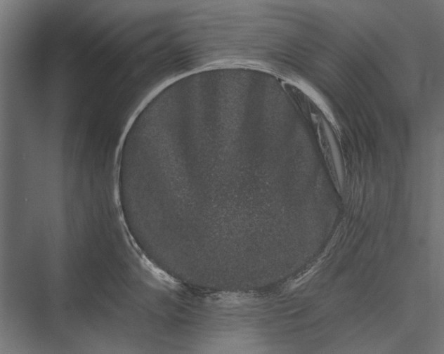 X0000076071102200610061555