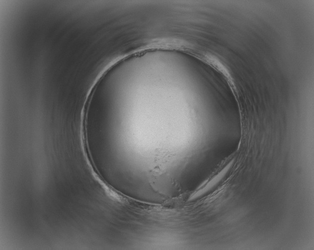 X0000076071103200610061555