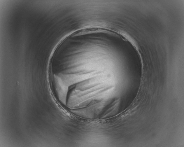 X0000076071104200610061555