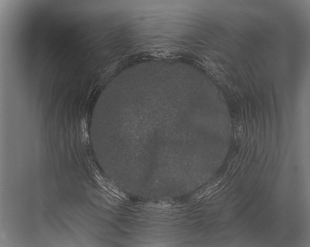 X0000076071106200610061555