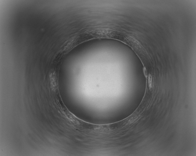 X0000076071107200610061555