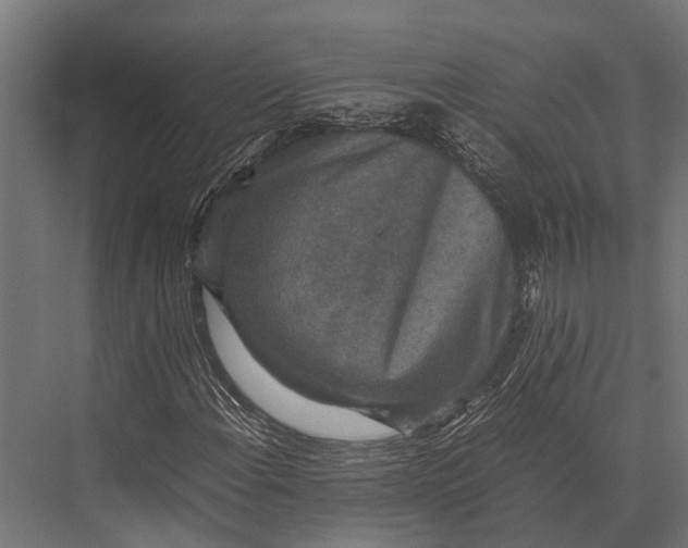 X0000076071108200610061555