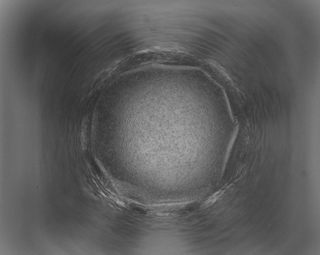 X0000076071110200610061555