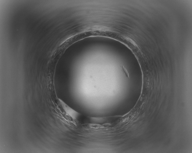 X0000076071112200610061555