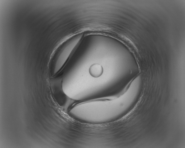 X0000076071114200610061555