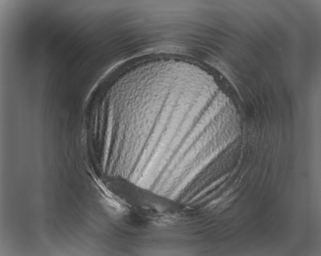 X0000076071115200610061555