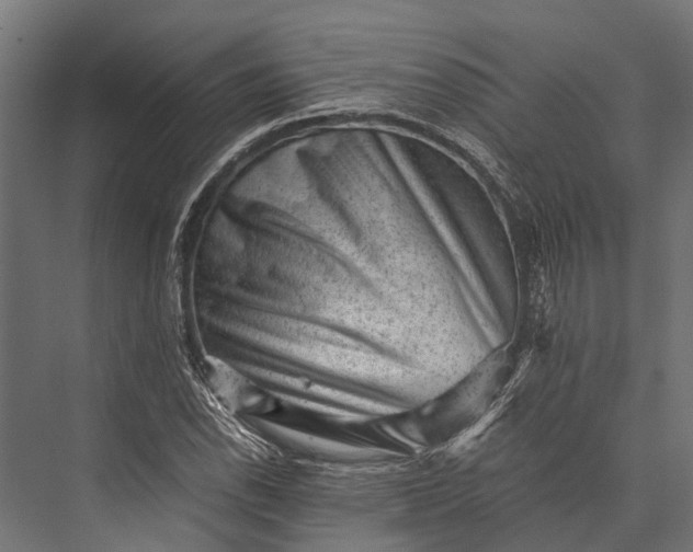 X0000076071118200610061555
