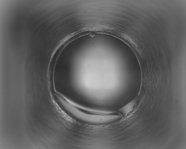 X0000076071122200610061555