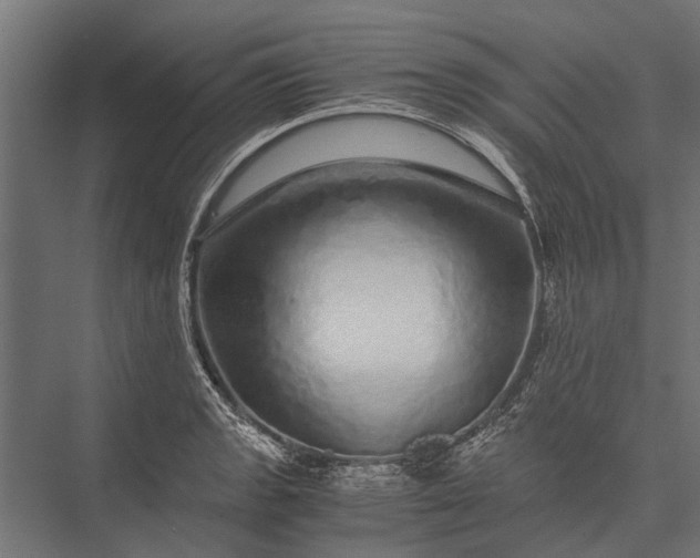 X0000076071133200610061555