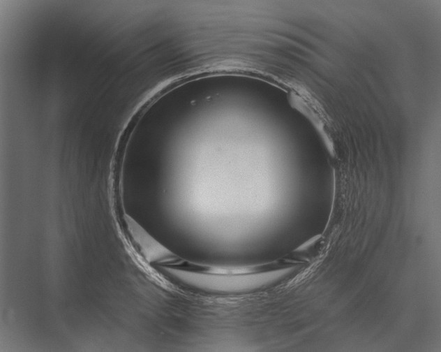 X0000076071134200610061555