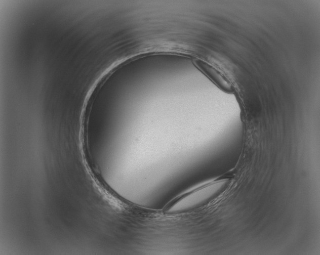 X0000076071136200610061555